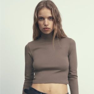 Zara mock neck long sleeve crop top in mink